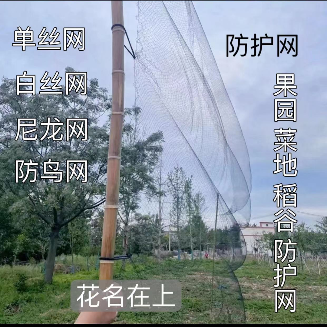 果园防鸟网防虫网农田户外围网尼龙线单丝白丝网防护神器防粘拦网