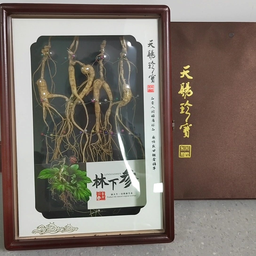 林下参礼盒滋补养生佳品适合送礼的高年份礼盒