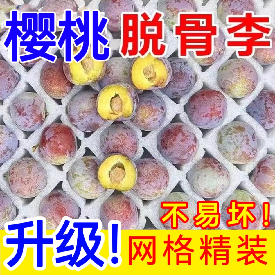 【精装福利款】汶川红脆李茵红李酸甜口感小脆红李子四川高山李子