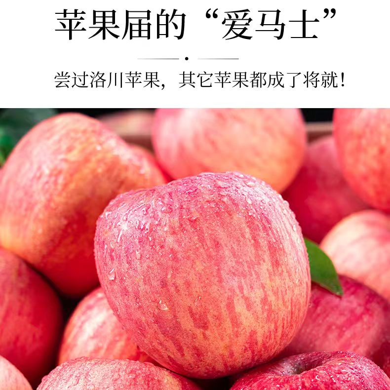【脆甜苹果】冰糖心红富士苹果