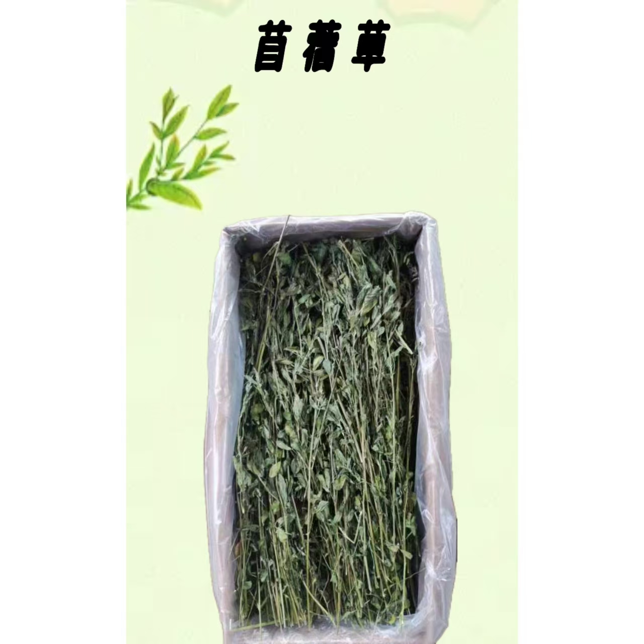 全国包邮苜蓿草毛重1000左右细杆叶多 烘干龙猫专用