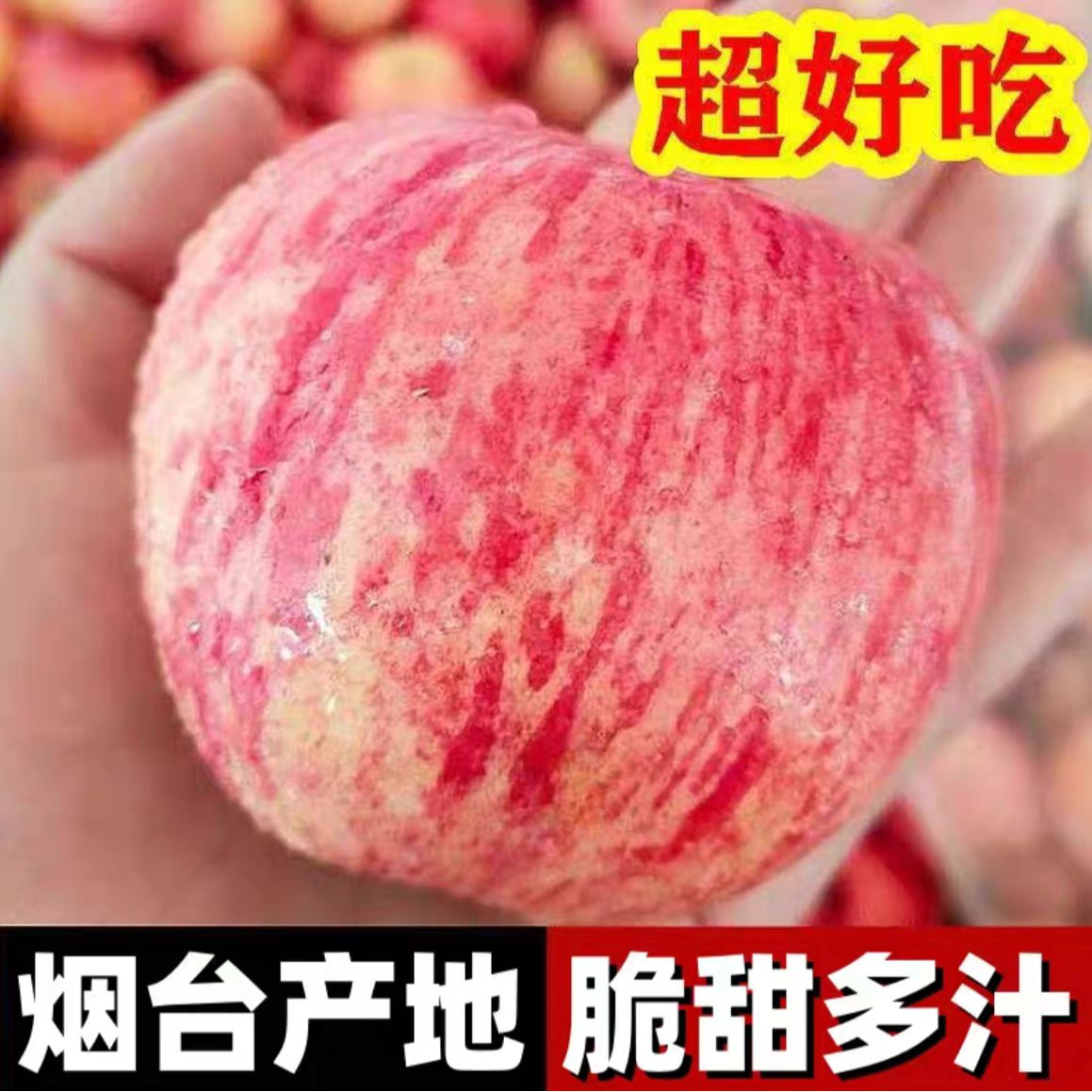 正宗烟台红富士苹果又甜又大