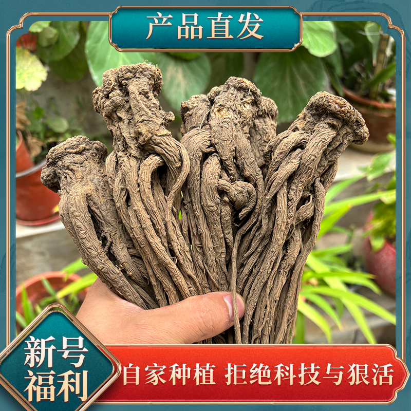 当归原条岷县精选现收正宗新货正品高品质自然晾晒当归煲汤炖肉