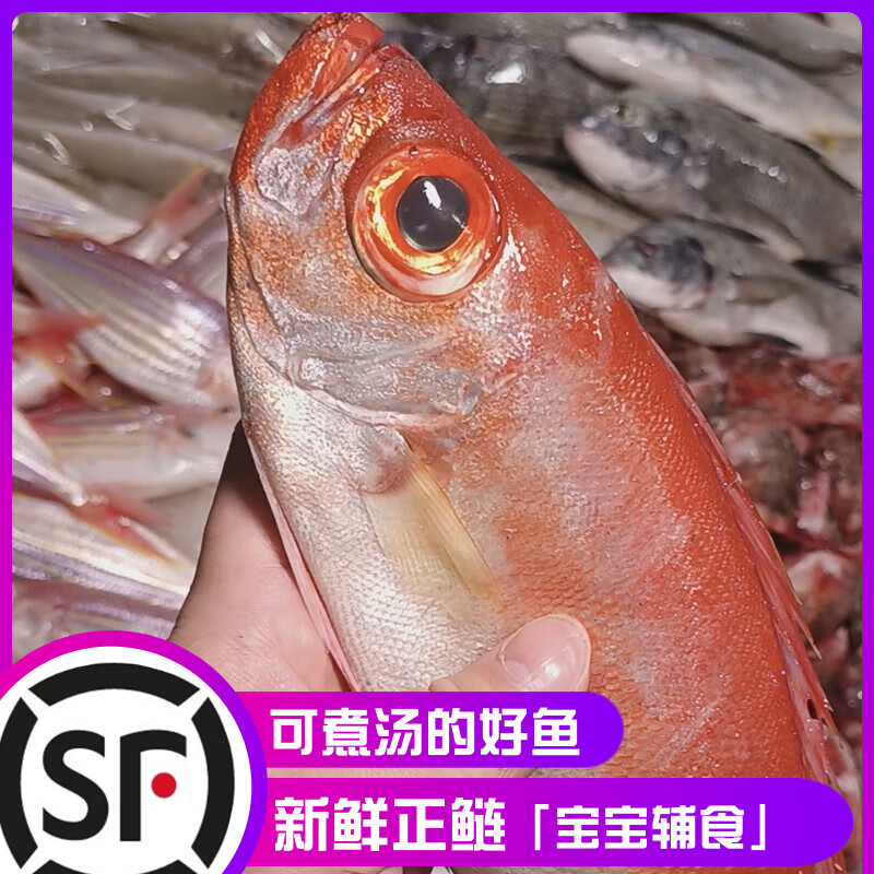【小红目鲢】 祥芝本港海鲜