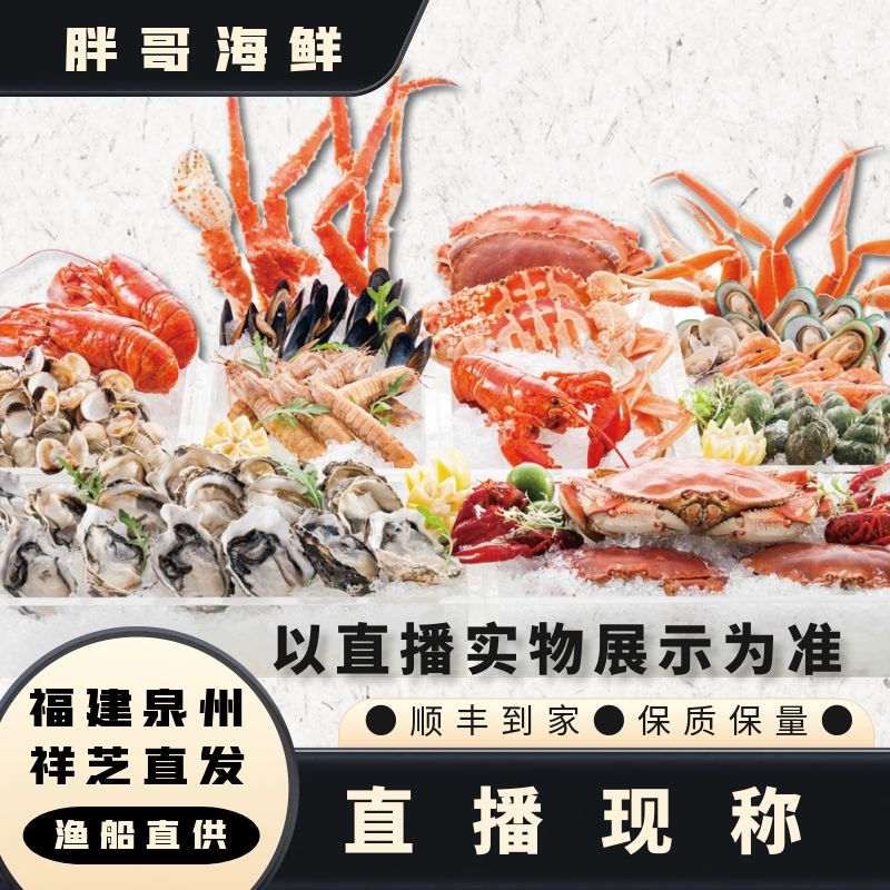 【现称东星斑】福建祥芝本港海鲜 以直播实物展示为准 顺丰冷链发货