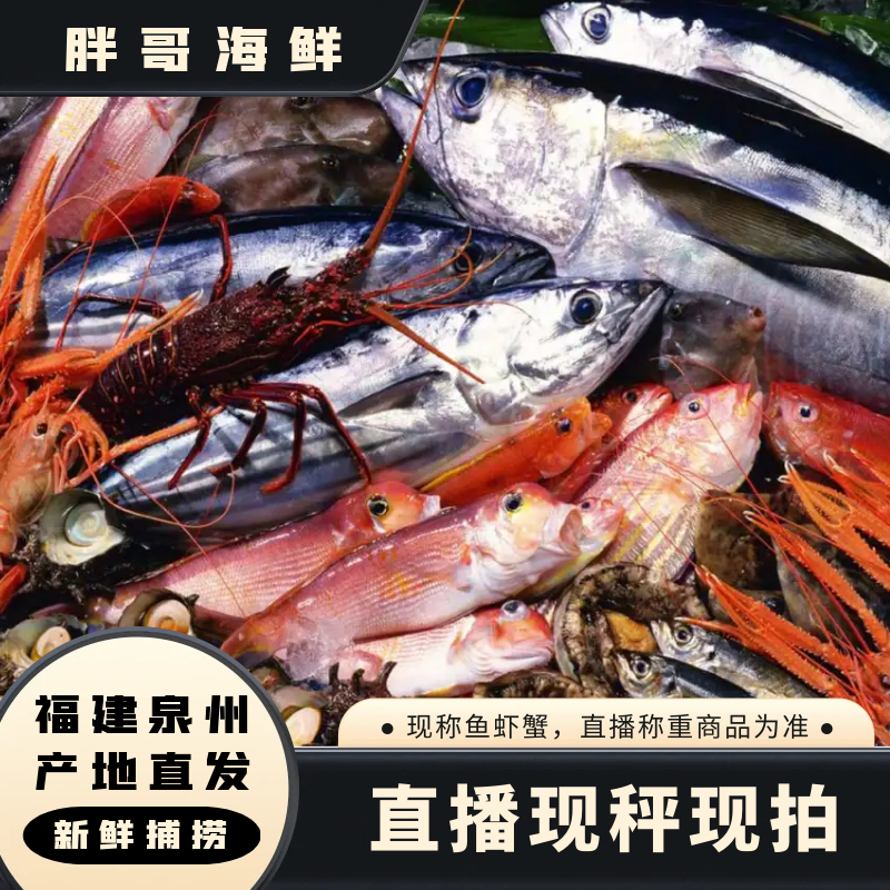 【次土虾2号】福建祥芝本港海鲜 现称现拍