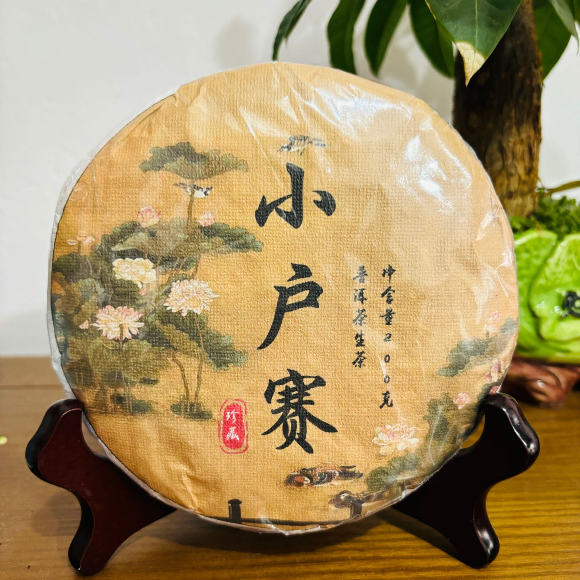 24年小户赛古树春茶 200饼头春头采饼茶冰岛原生态山头纯料普洱茶