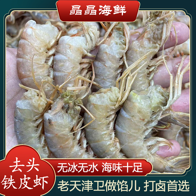 【去头铁皮虾 】新鲜去头铁壳虾海鲜水产夹板虾本地野生虾5-10斤