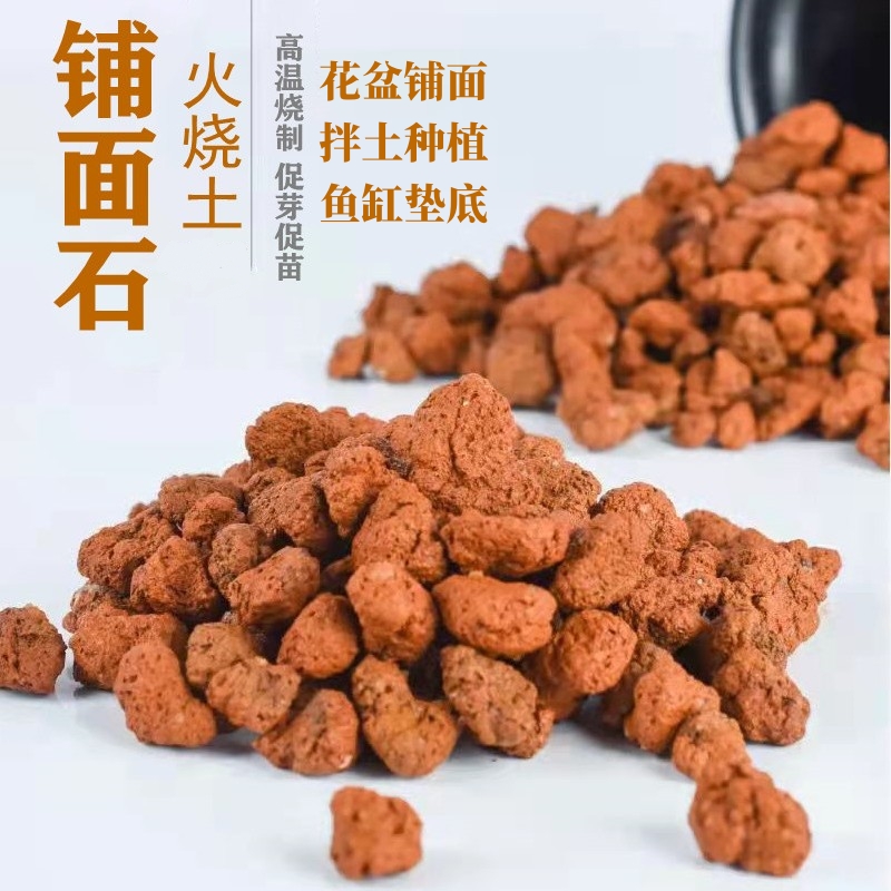 兰花专用铺面石火烧土颗粒盖面土植料拌土种植保湿垫底防虫铺面土
