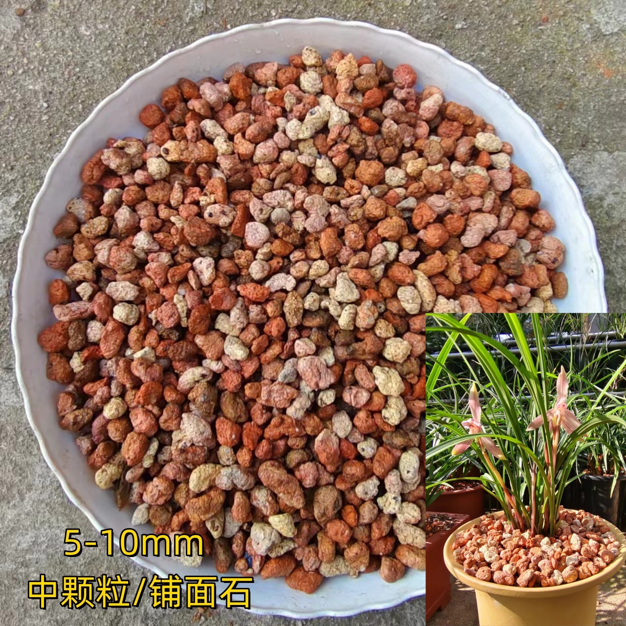 兰花铺面石植物铺面土多肉颗粒土绿植盖面土兰科植料育苗营养土