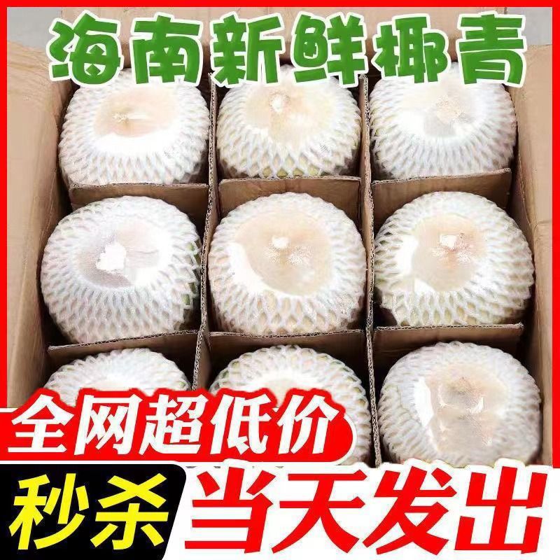 【乐多】椰子水果椰青海南特产新鲜孕妇椰肉椰汁椰皇毛椰香水椰大果