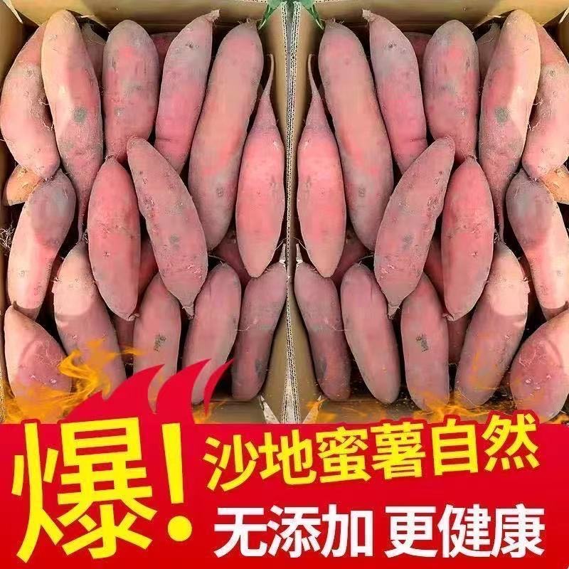 【乐多】沙地新板栗红薯现挖现发超甜西瓜红蜜薯糖心板栗薯新鲜地瓜