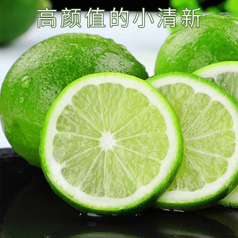 【乐多】新鲜青柠檬青柠檬奶茶店专用皮薄新鲜商用安岳青柠檬现摘现