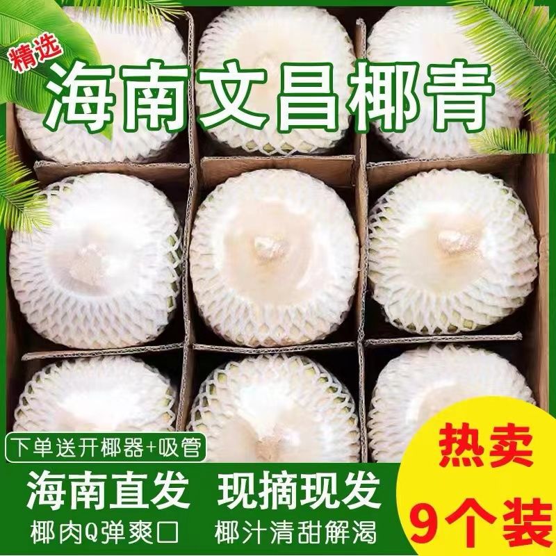 【乐多】椰青海南特产椰子新鲜水果孕妇椰皇毛椰榨椰汁椰肉6/9大果