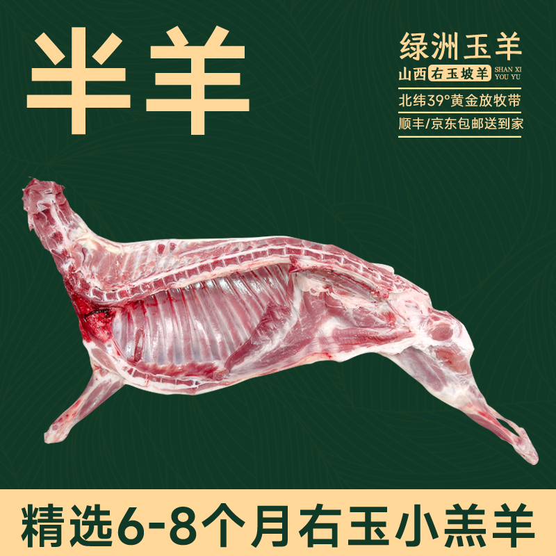 绿洲玉羊右玉羊肉【羔羊半羊10斤装】24.9元/斤新鲜羔羊肉高品质