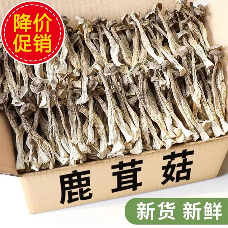 鹿茸菇食用美味挑选精选干货包邮脆脆菇鹿茸菌营养种植新鲜浓郁