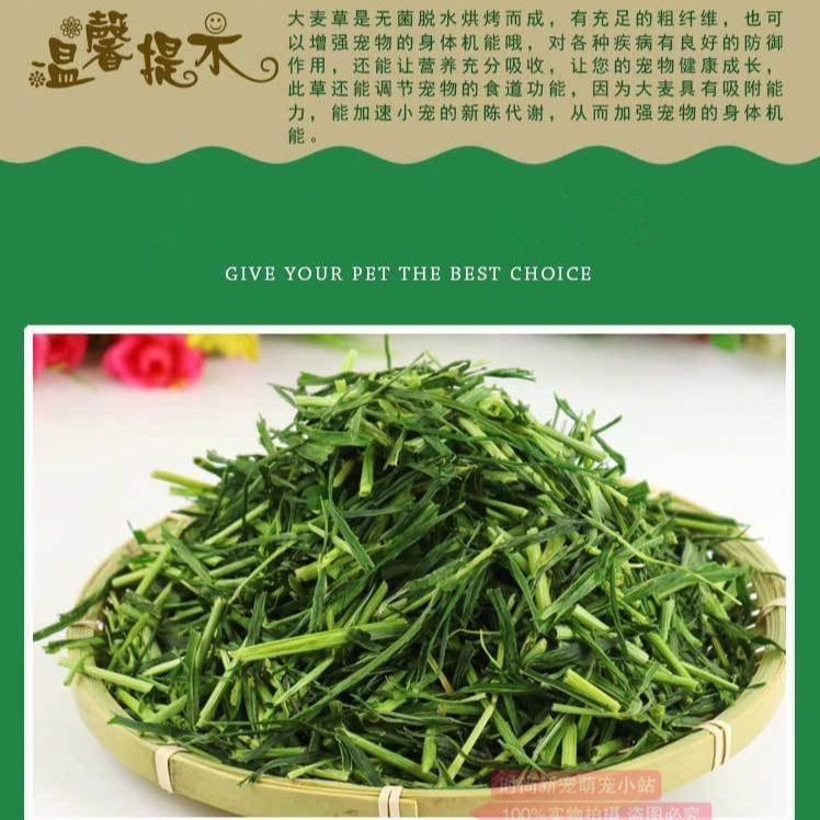 包邮烘干大麦草段荷兰猪兔子粮食天竺鼠宠物兔兔干草龙猫牧草饲料