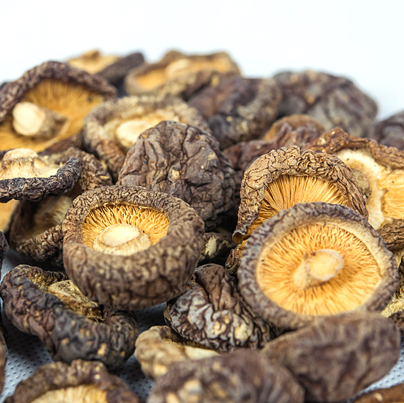 金钱菇云南腾冲农家自采自然晾晒