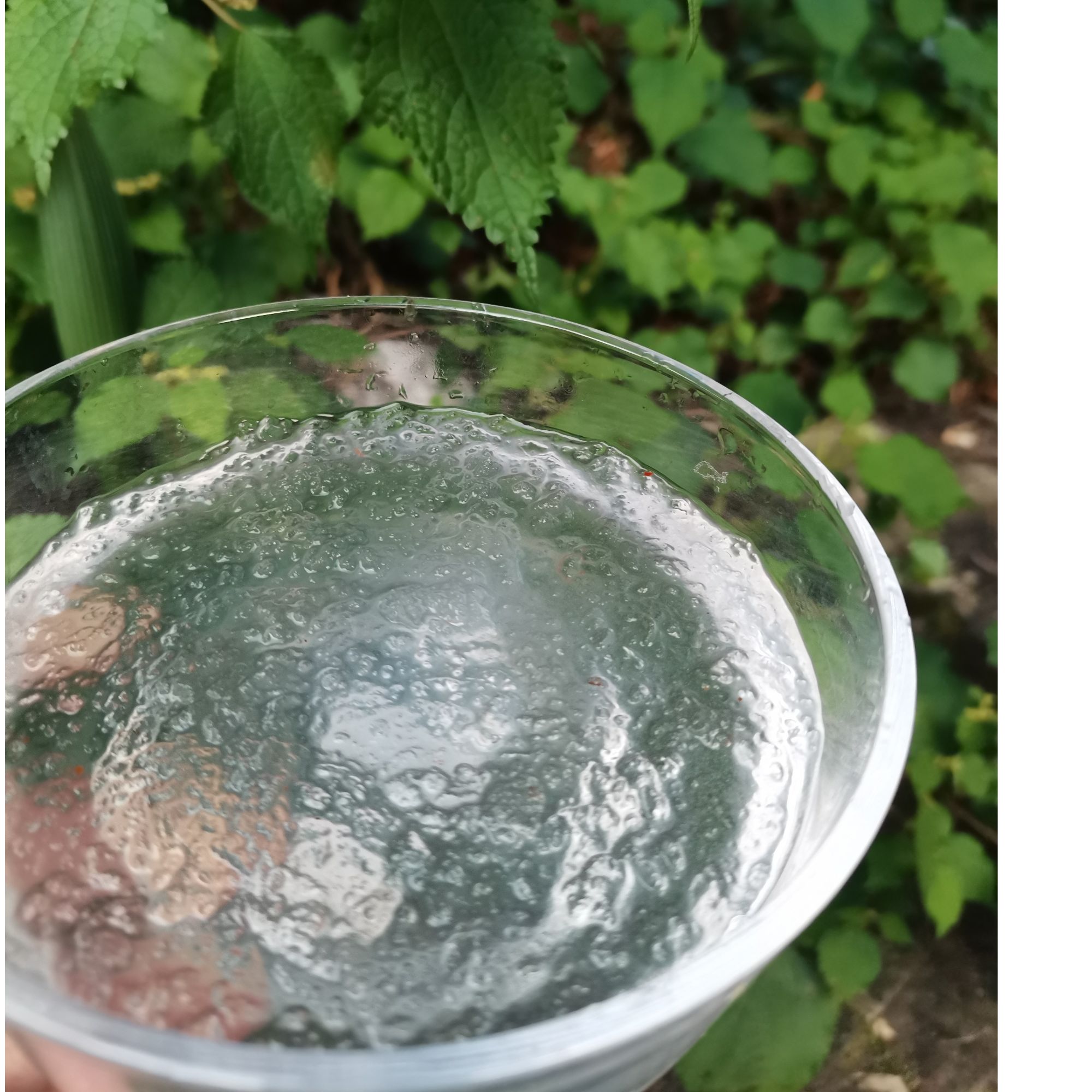 1【雪-燕】净含量：500g-1000g【小徐现收】