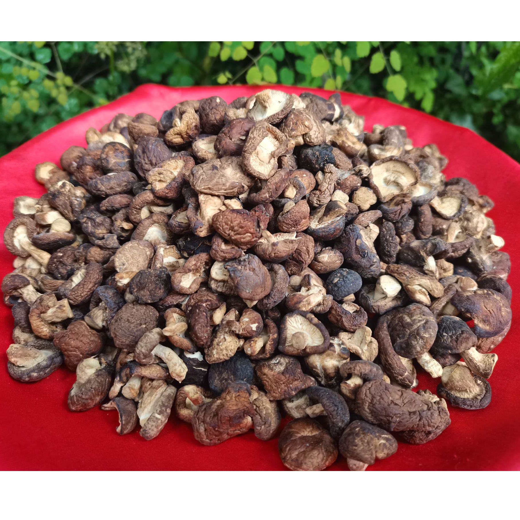 1【小-小-香-菇】净含量：250g-500g【小徐现收】