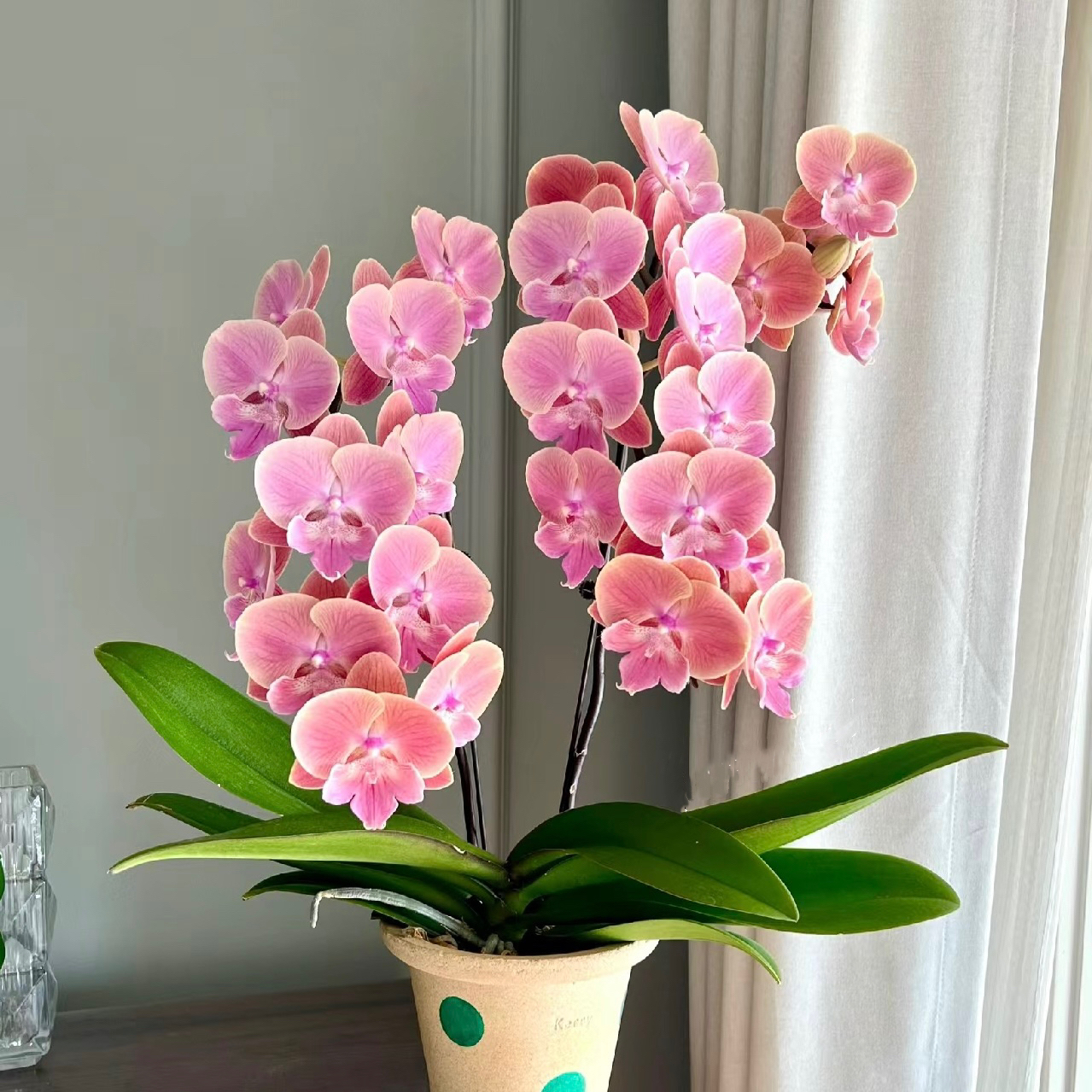 大舌头【唯美】3.5寸加高杯 有花键 叶损不售后