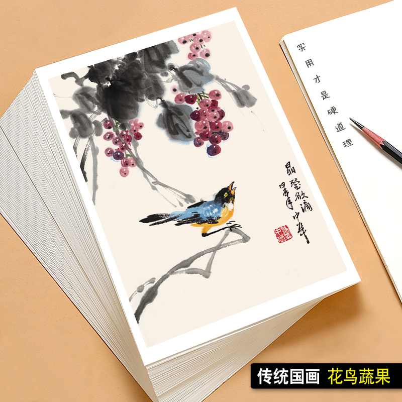 国画临摹卡传统国画花鸟蔬果画 绘画入门培训高清印刷32张水墨画