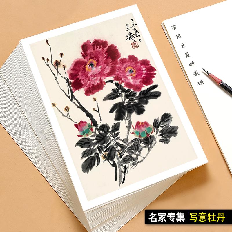 国画临摹卡写意牡丹临摹画册水墨画单片高清印刷精选32张王雪涛画