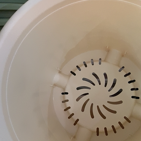 树脂300CM及以上四季6#无拖米黄5个