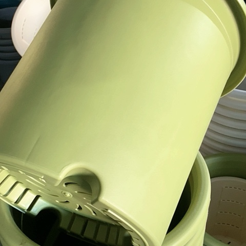 树脂300CM及以上四季8#无拖果绿5个