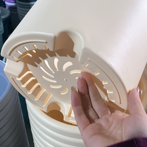 树脂300CM及以上四季5#无拖米黄5个