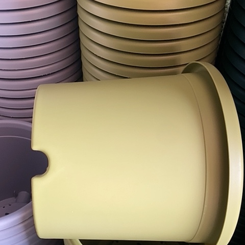 树脂300CM及以上四季4#无拖果绿5个