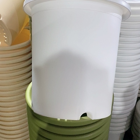 树脂300CM及以上四季7#无拖纯白3个