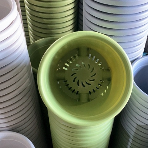 树脂300CM及以上四季2#无拖果绿12个