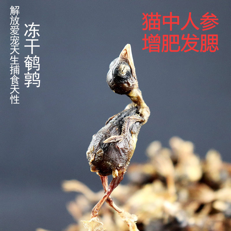 狗猫冻干鹌鹑宠物猫零食生骨肉冻干小鹌鹑增肥发腮狗猫粮食品猫狗