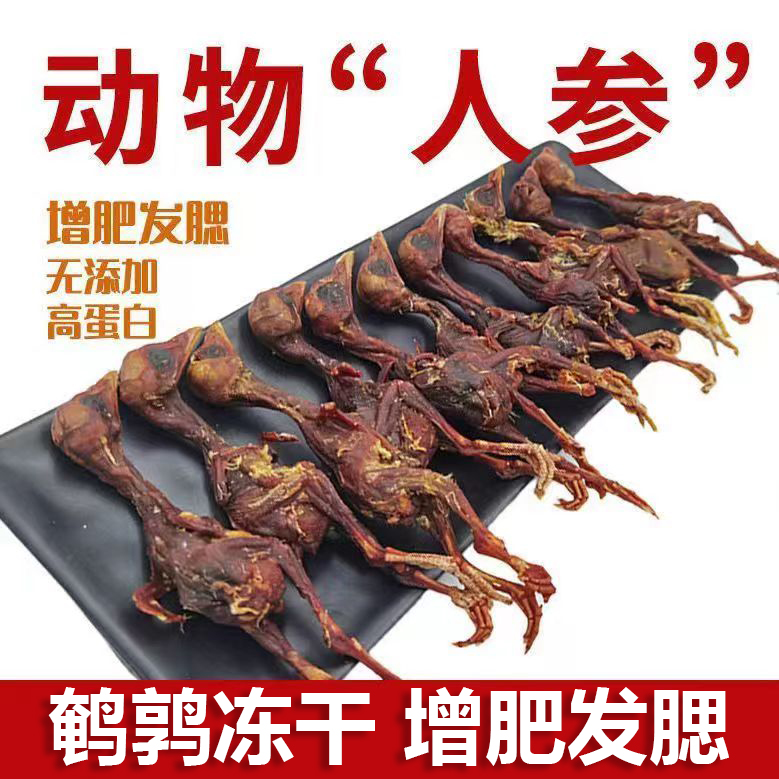 狗猫冻干鹌鹑小猫咪零食狗狗磨牙棒犬粮成幼犬宠物幼猫零食整只小
