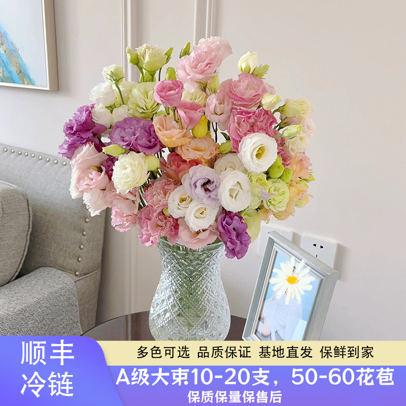 【小扬哥甄选】南院花洋桔梗鲜花云南基地直发办公室家用水养花无