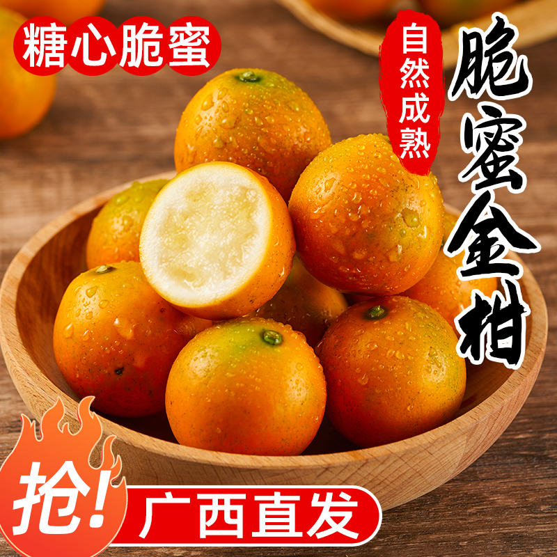 爆甜【金柑】第三代融安脆蜜金桔鲜果当季水果新鲜现摘纯甜金桔脆蜜