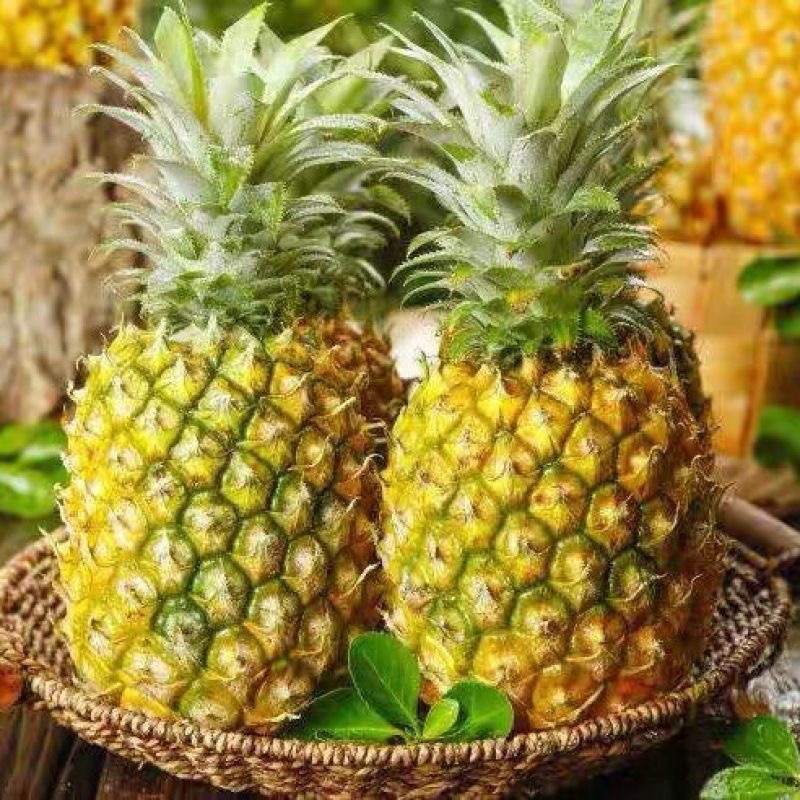 【海南凤梨】好吃的凤梨（箱/带箱5-5.5斤）整箱2-3头装