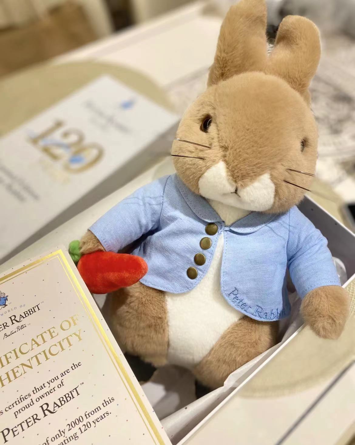 英国peter rabbit 正品120周年纪念款比得兔玩偶毛绒玩具柔软玩偶