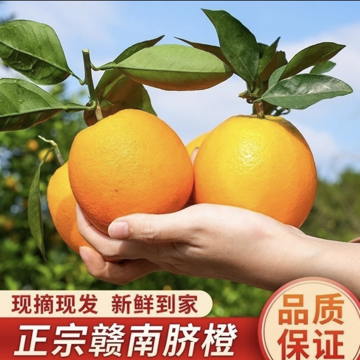 赣南脐橙正宗江西赣南脐橙农家甜橙子现摘新鲜产地直发10斤20斤