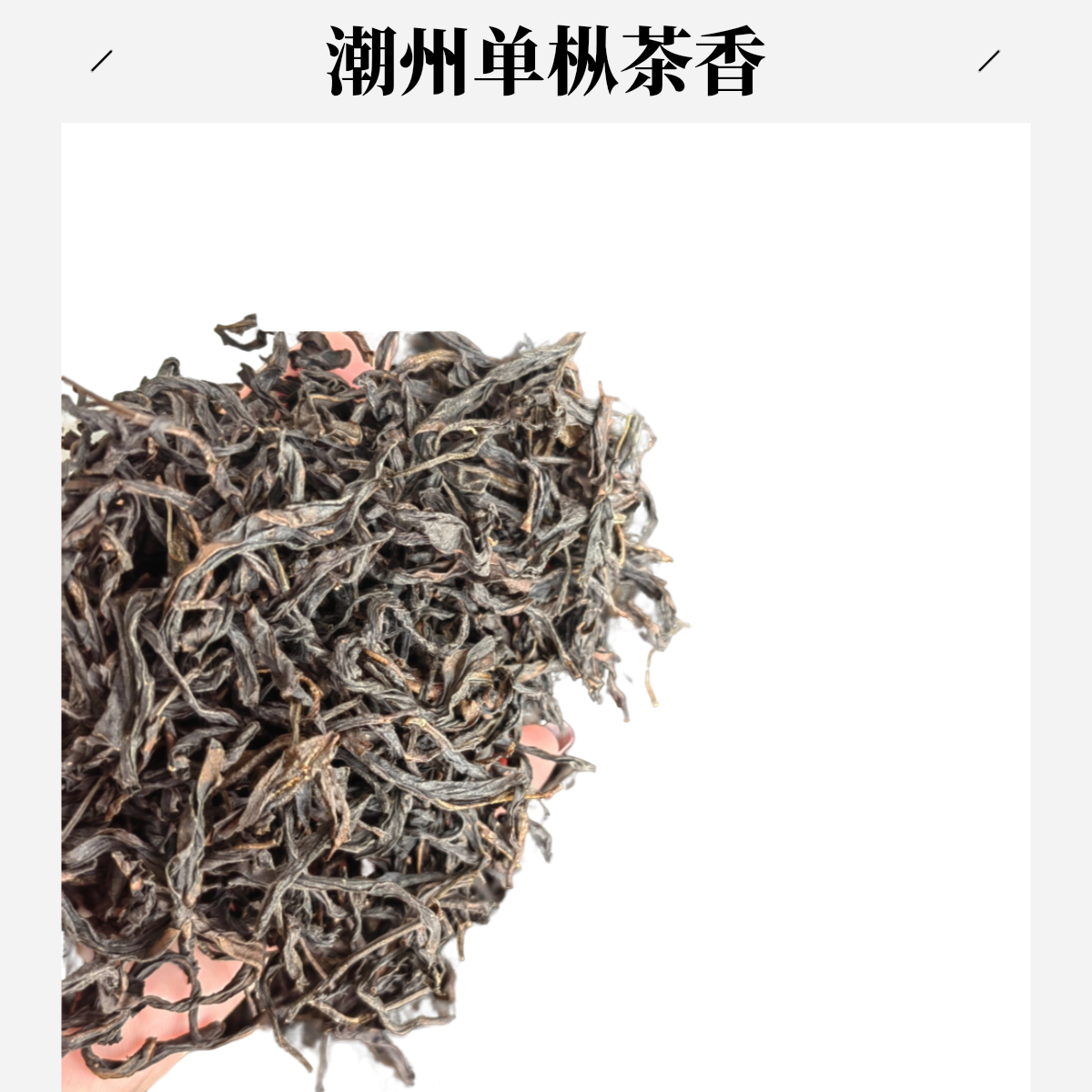 茶农直销潮州凤凰单枞茶春蜜兰香 蜜香韵味回购率超高250克款