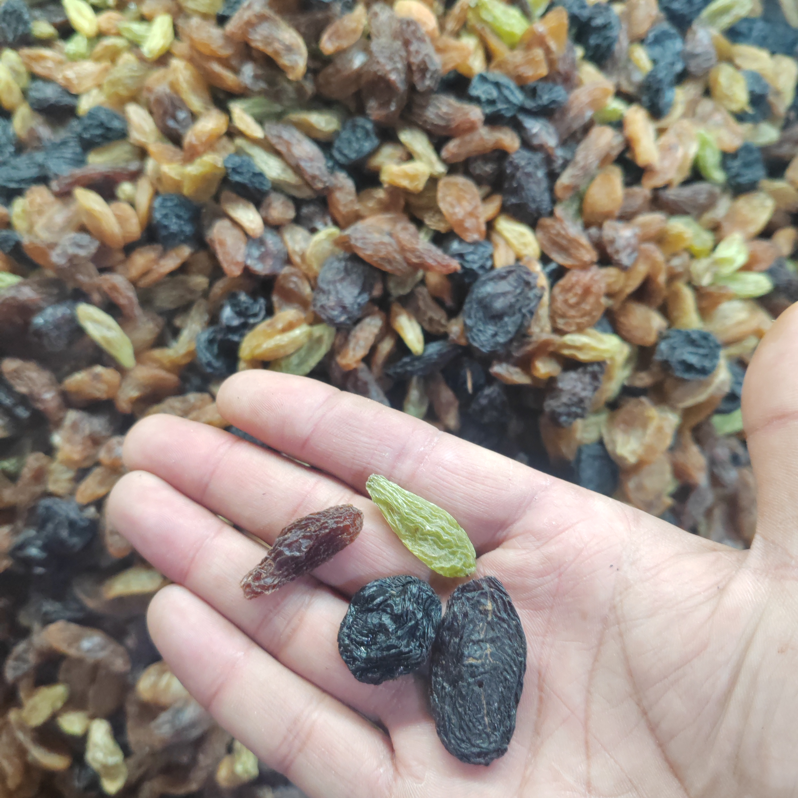 吐鲁番大颗粒葡萄干混合装（夏黑，香妃，黑美人）产地清香饱满天然