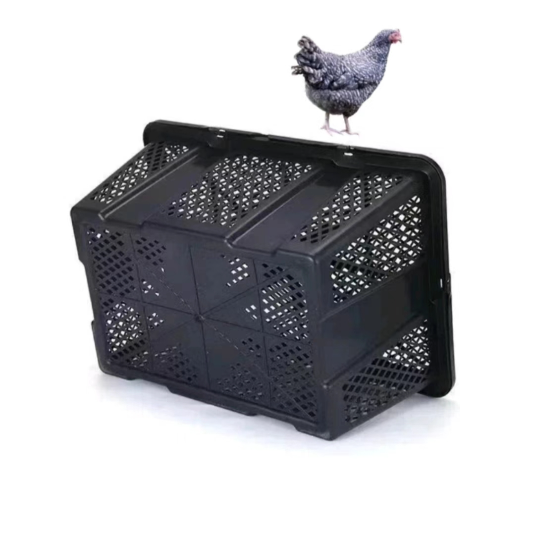 芦花鸡笼子筐到手10只抗压抗摔不挤耐用