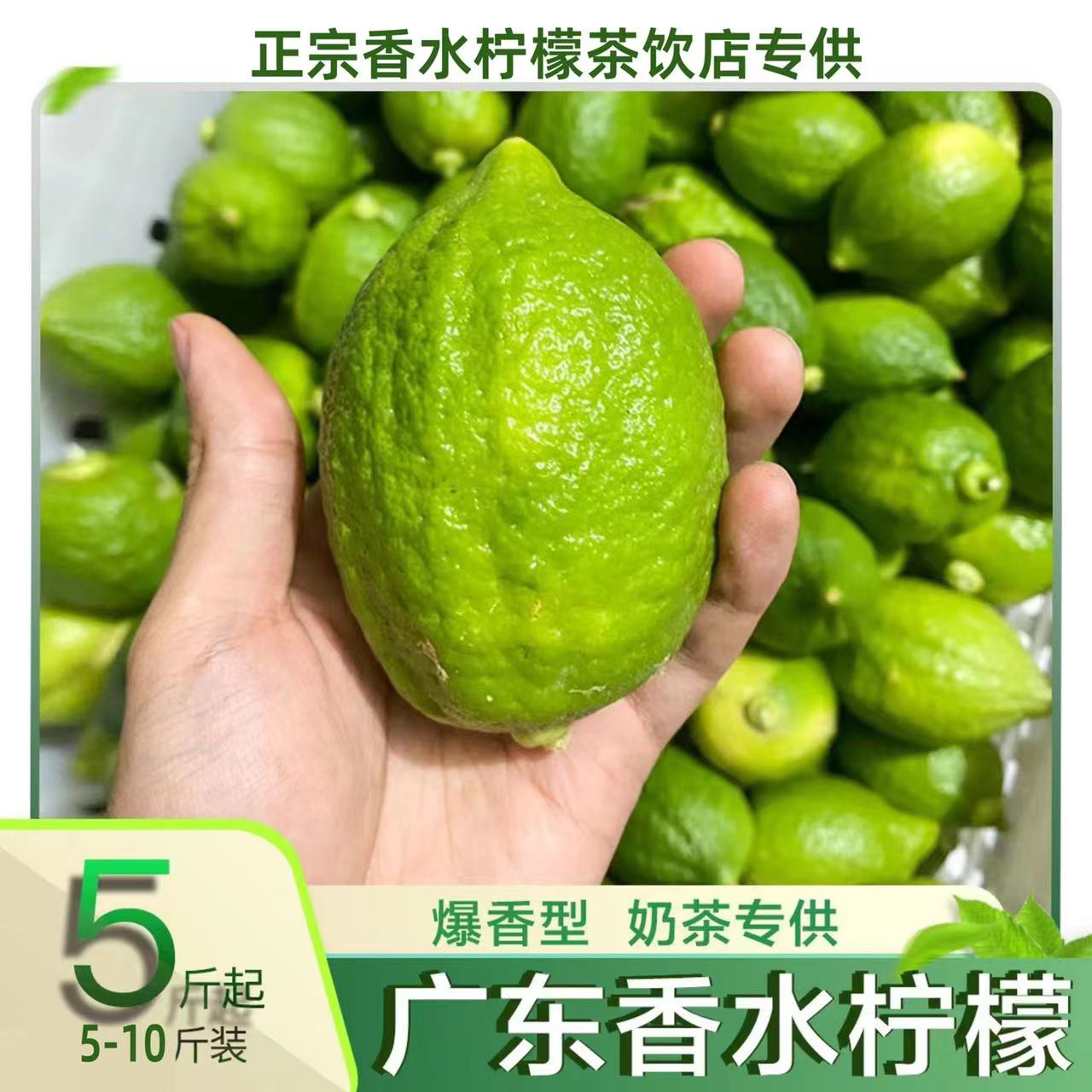 鲜级佳【青源】广东香水柠檬爆香型奶茶店专用5-10斤 精选优质产区 