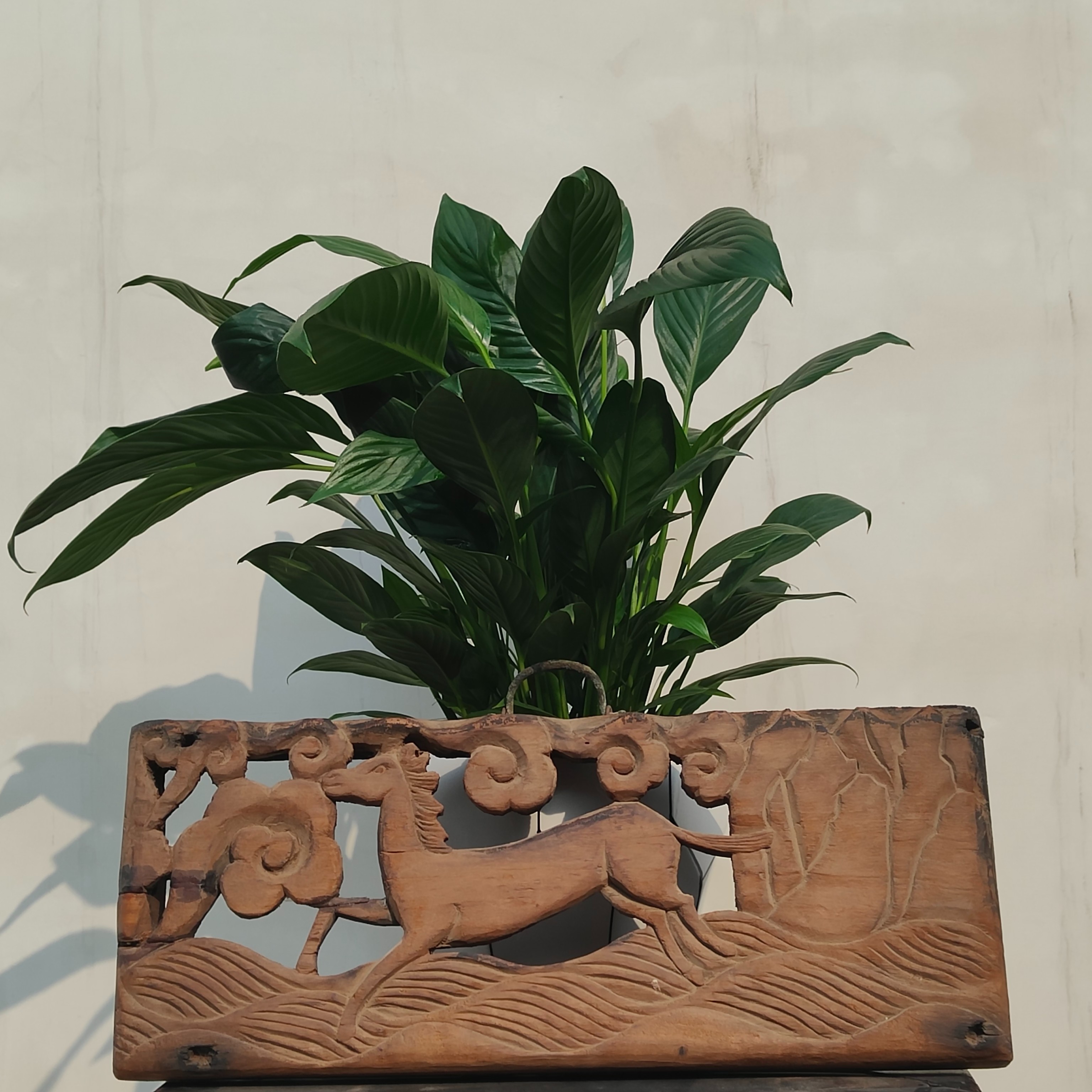 【文房·挂件】楠木，明晚期，尺寸:“长48宽20厚4cm