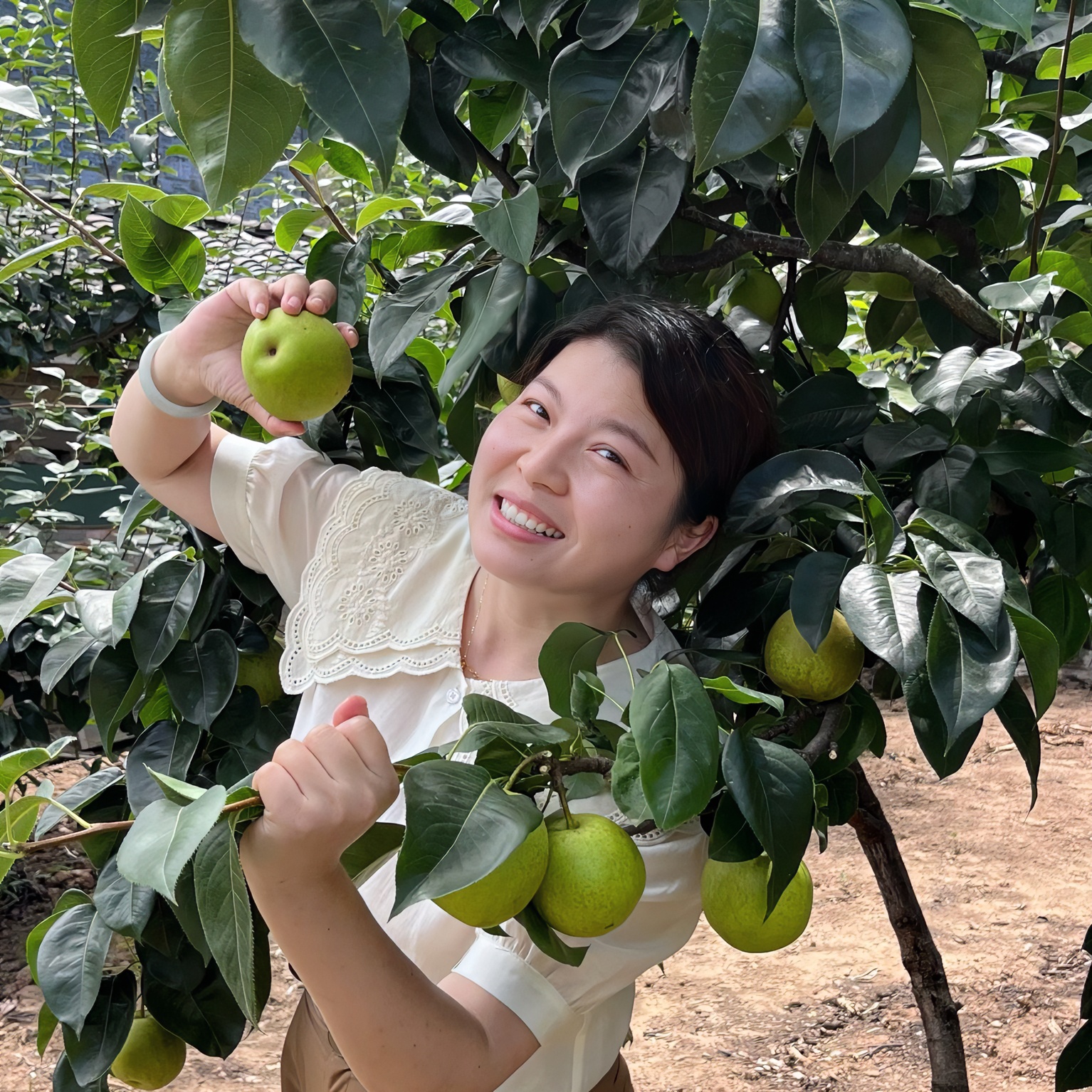 【顺丰包邮】正宗四川苍溪梨农家翠冠梨新鲜水果脆甜多汁整箱5-6斤