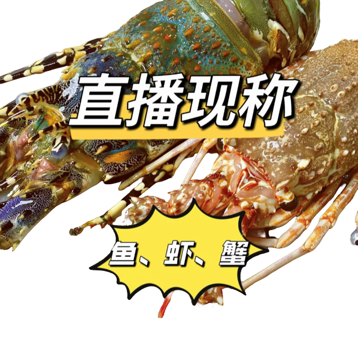 海鲜现称.油斑【1号】（以直播间为准）
