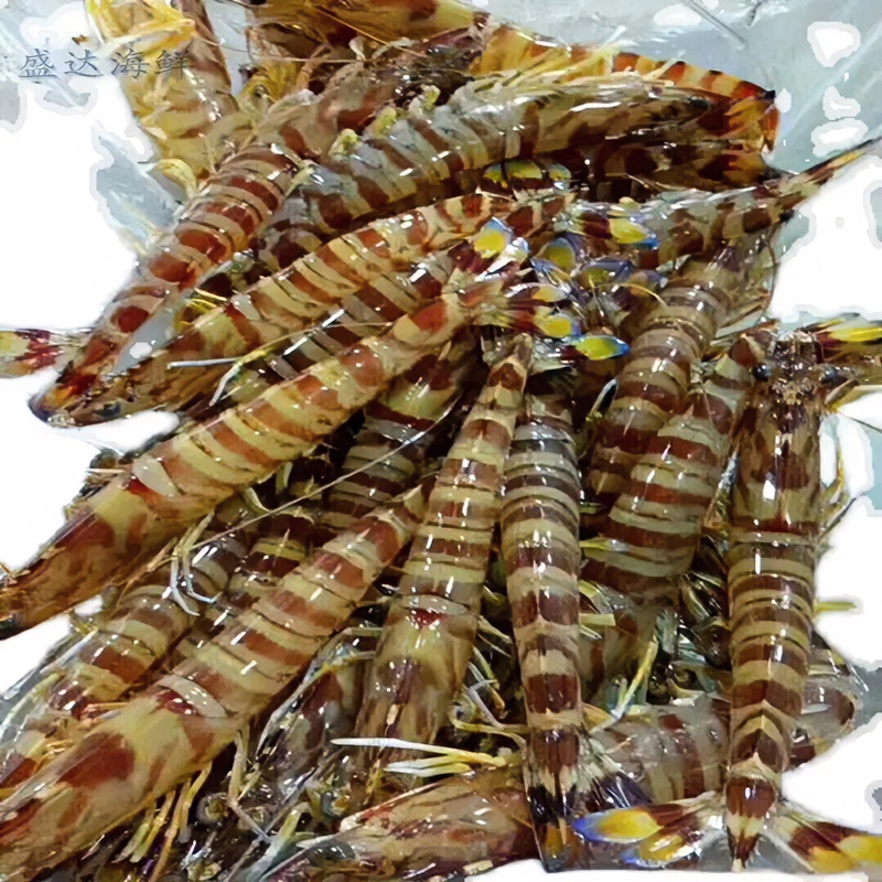 活冻野生大斑节虾.2斤（5-6头左右）部分软壳