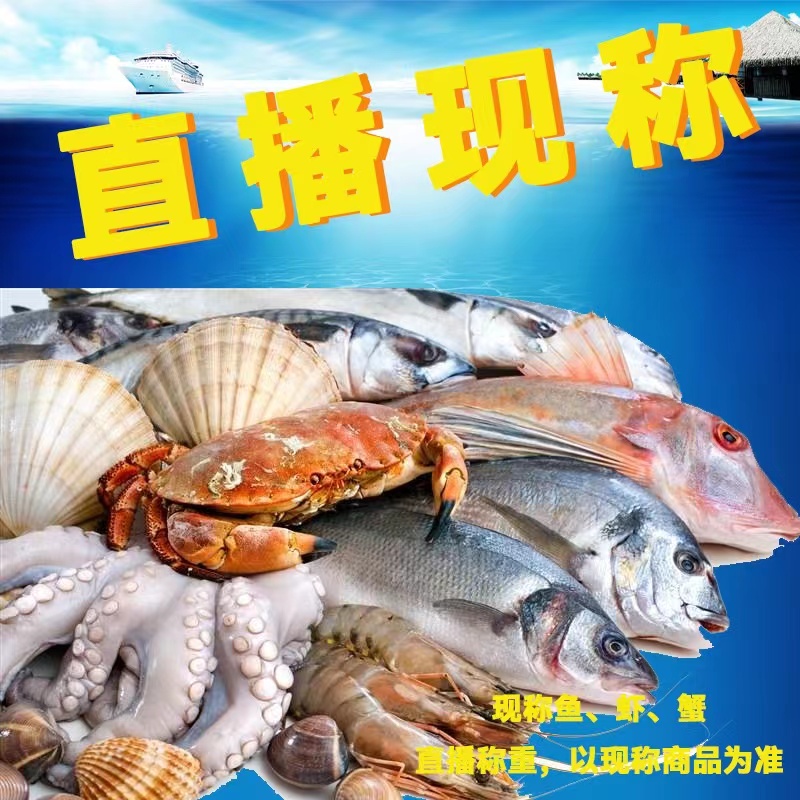 活杀.野生.小奶鲈（1-2-3两左右/条）.5斤