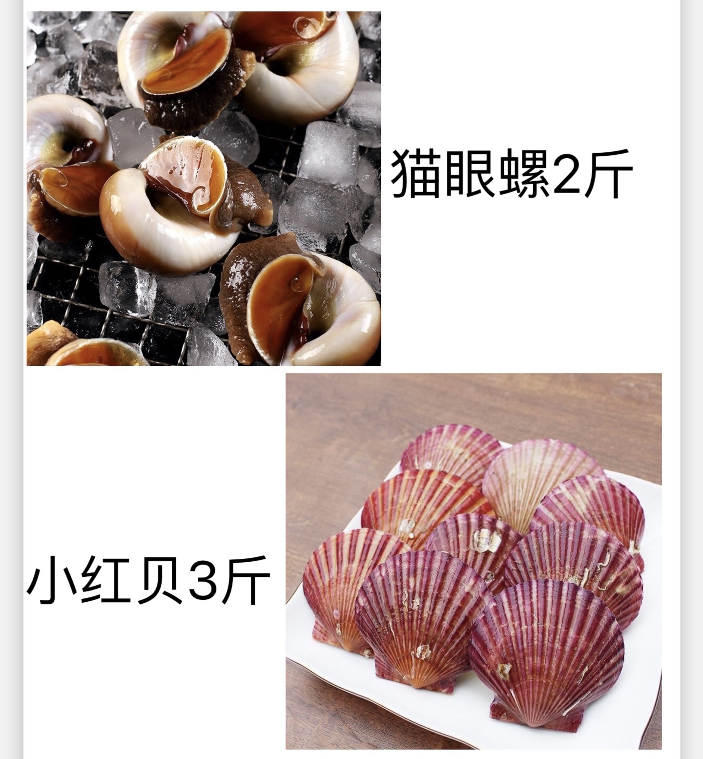 美味海鲜套餐  2斤猫眼螺+3斤红贝 共5斤（包鲜不包活，介意慎拍）